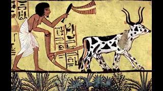 ancient egyptian agriculture and the origins of horticulture