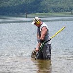 Beach metal detector searches in salt and fresh water