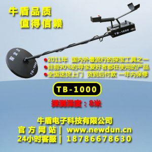 Guizhou anshun display metal detecting underground best